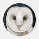 Search for hoot magnets Wisdom