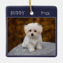 Search for two dogs christmas tree decorations For pets