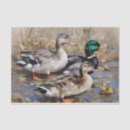 Search for duck tissue paper Animals