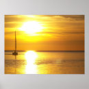 Search for shimmer posters Sunset