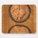 Search for anatomical electronics Fabricius