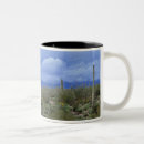 Search for saguaro mugs Scenic