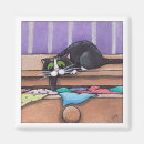 Search for treasurable magnets Cat