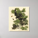 Search for james canvas prints Bird