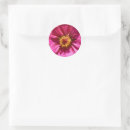 Search for zinnia stickers Flower