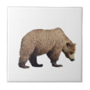 Search for bears tiles Grizzly