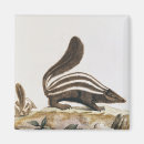 Search for skunk magnets Smelly