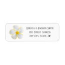Search for hawaiian flowers return address labels Plumeria