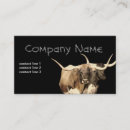 Search for longhorn business cards Ranch