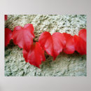 Search for virginia art Red