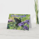 Search for butterfly sympathy cards Flower