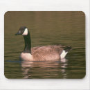 Search for goose mousepads Wildlife