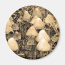 Search for toadstool home living Food
