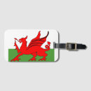 Search for dragon accessories Wales
