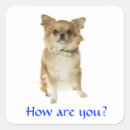Search for long hair chihuahua stickers Cute