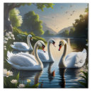 Search for beak Swan