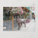 Search for moose postcards Flowers