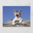 Search for yawn postcards Tired