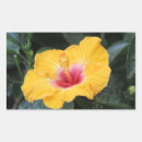 Search for hibiscus stickers Yellow