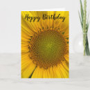 Search for field photo cards Flower