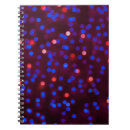 Search for birthday card notebooks Celebration