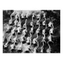 Search for jazz age posters 1930s