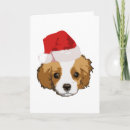 Search for ckc postcards Cute