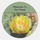 Search for cactus flower stickers Arizona