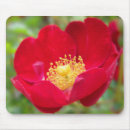 Search for red rose mousepads Crimson