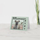 Search for cute pet photo cards Animal lover