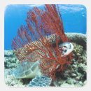 Search for sea turtle stickers Nature