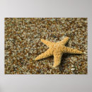 Search for beach glass posters Colourful
