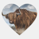 Search for scottish highland cow stickers Farm