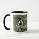 Search for king penguin mugs Penguins