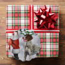 Search for german shorthaired pointer christmas cards Dog