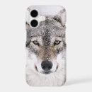 Search for wild wolf iphone cases Snow
