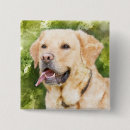 Search for yellow lab badges Dogs