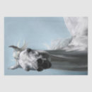 Search for paint horse tissue paper Animal