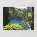 Search for clear postcards Photography