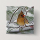 Search for cardinal badges Songbird