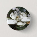Search for magnolia badges Nature