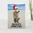 Search for length cards Pets