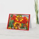 Search for closeups cards Flowers