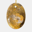 Search for fossil christmas tree decorations Rock