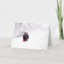 Search for snowstorm photography Nature