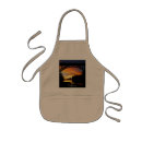 Search for bridges aprons Sunset