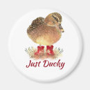 Search for ducky magnets Bird