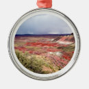 Search for southwestern christmas tree decorations Sedona