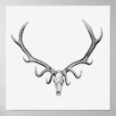 Search for animal skeleton posters Death