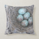 Search for bird nest cushions Eggs